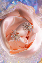Load image into Gallery viewer, Cosmic Crystal Nova Studs