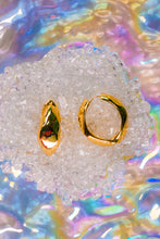 Load image into Gallery viewer, Golden Grip Hinged Earrings
