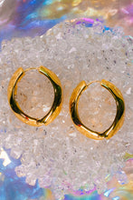 Load image into Gallery viewer, Golden Grip Hinged Earrings
