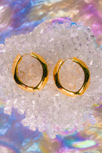Load image into Gallery viewer, Golden Grip Hinged Earrings
