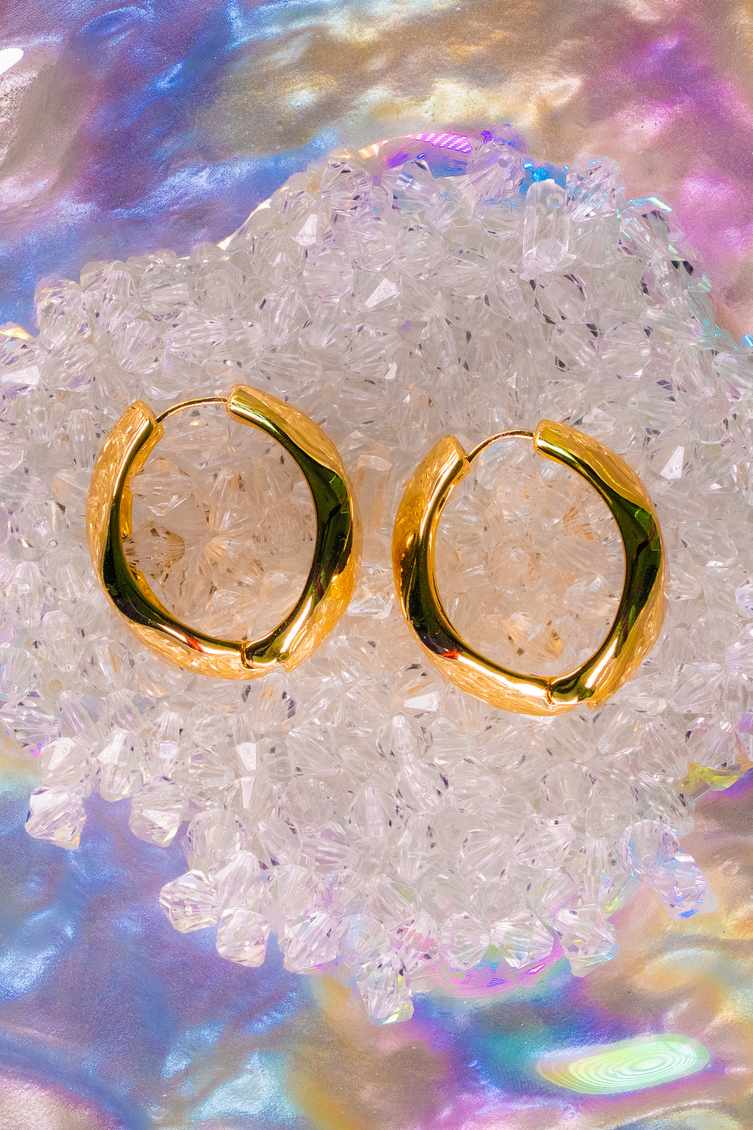 Golden Grip Hinged Earrings