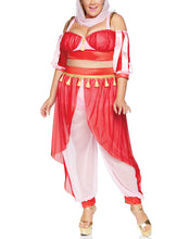 Load image into Gallery viewer, Dreamy Genie Costume
