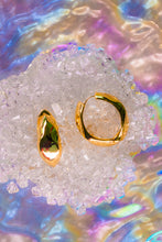 Load image into Gallery viewer, Golden Grip Hinged Earrings

